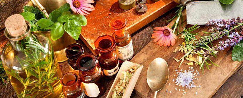 Create Your Plant Medicine Apothecary