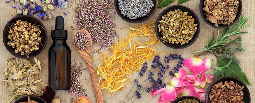 Ayurveda: The Ancient Art of Well-Being