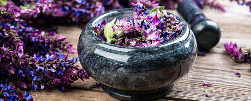 Exploring Chakra-Supportive Herbs