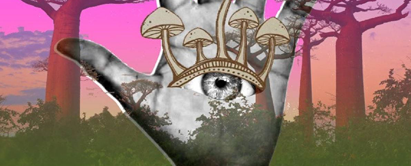 Microdosing DMT:  What Does the Science Say?