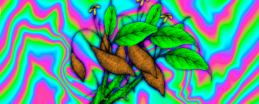 Iboga: Exploring Its Profound Healing Potential