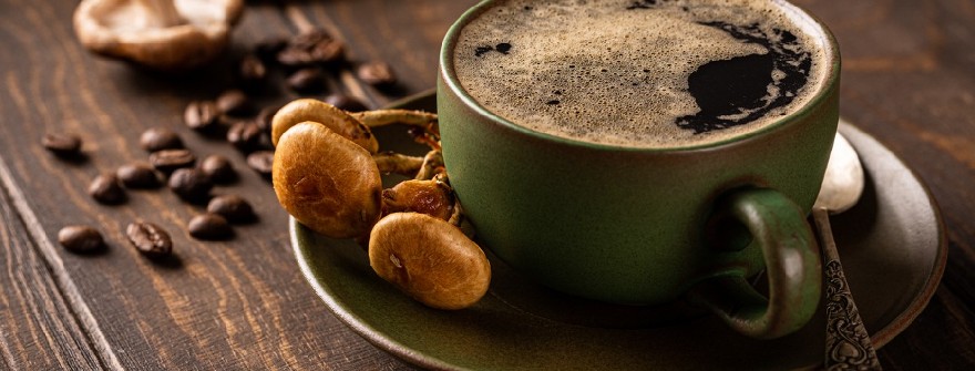 Mushroom Brews of Choice